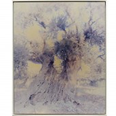 ORI GERSHT, CHROMOGENIC PRINT,