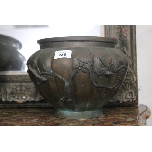 Oriental bronze lobbed