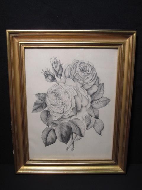 Original pencil drawing of roses