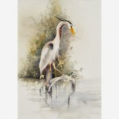 ORIGINAL WATERCOLOR OF A GREAT