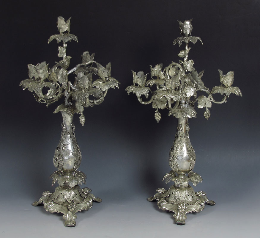 ORNATE GRAPE AND VINE DESIGN