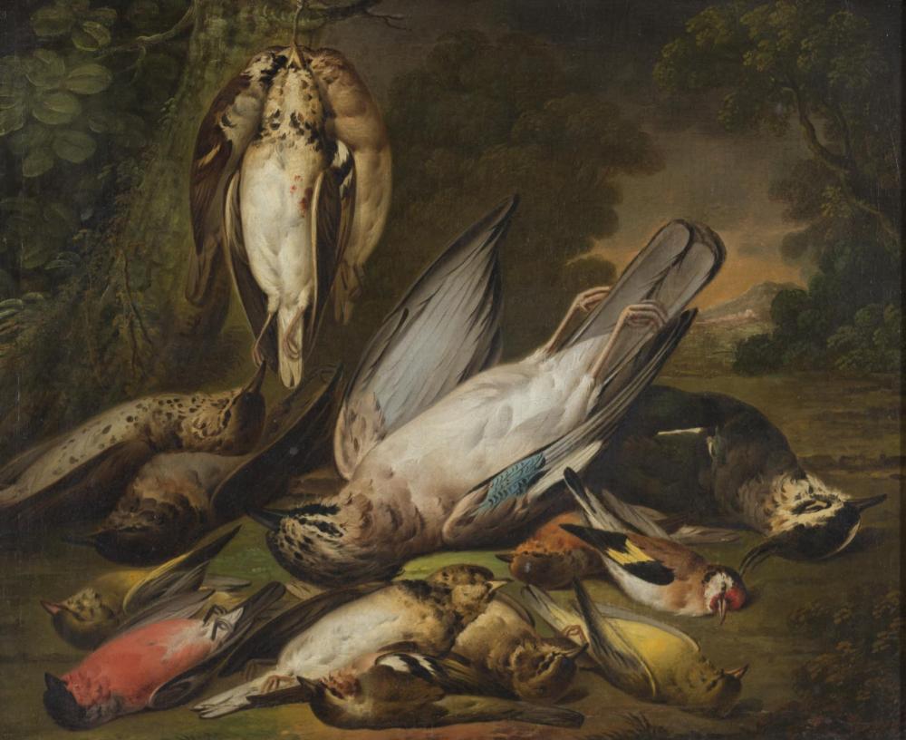 ORNITHOLOGY OIL ON