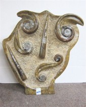 ORTHOCERAS AND AMMONITE FOSSIL