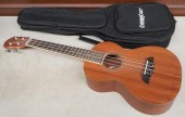 OSCAR SCHMIDT UKULELE WITH CAR