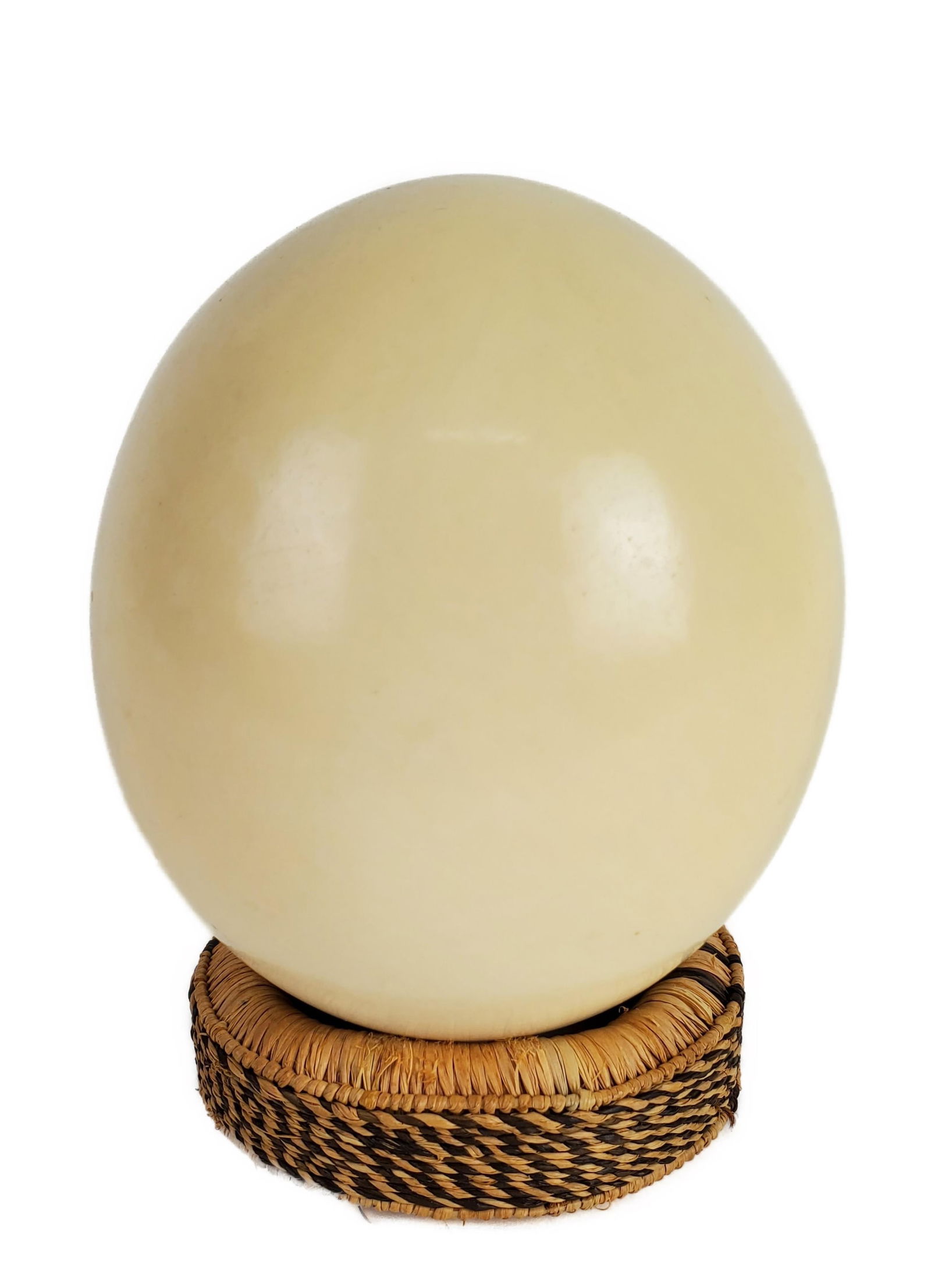 OSTRICH EGG ON FIBER WOVEN STAND,