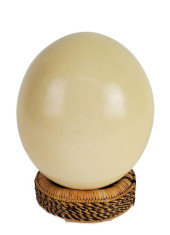 OSTRICH EGG ON FIBER WOVEN STA