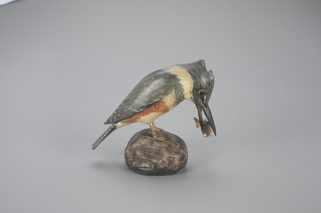 OUTSTANDING KINGFISHER WITH