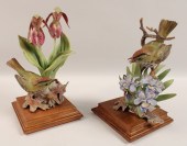 OVEN BIRDS WITH ORCHIDS BY DOR
