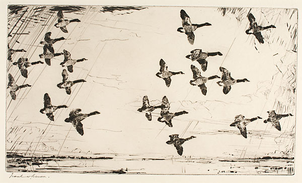Over Currituck Marshes by Frank