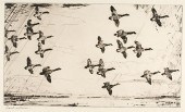 Over Currituck Marshes by Fran