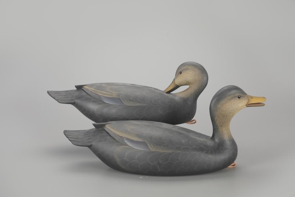 OVERSIZE BLACK DUCK PAIRGeorge
