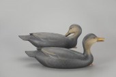 OVERSIZE BLACK DUCK PAIRGeorge