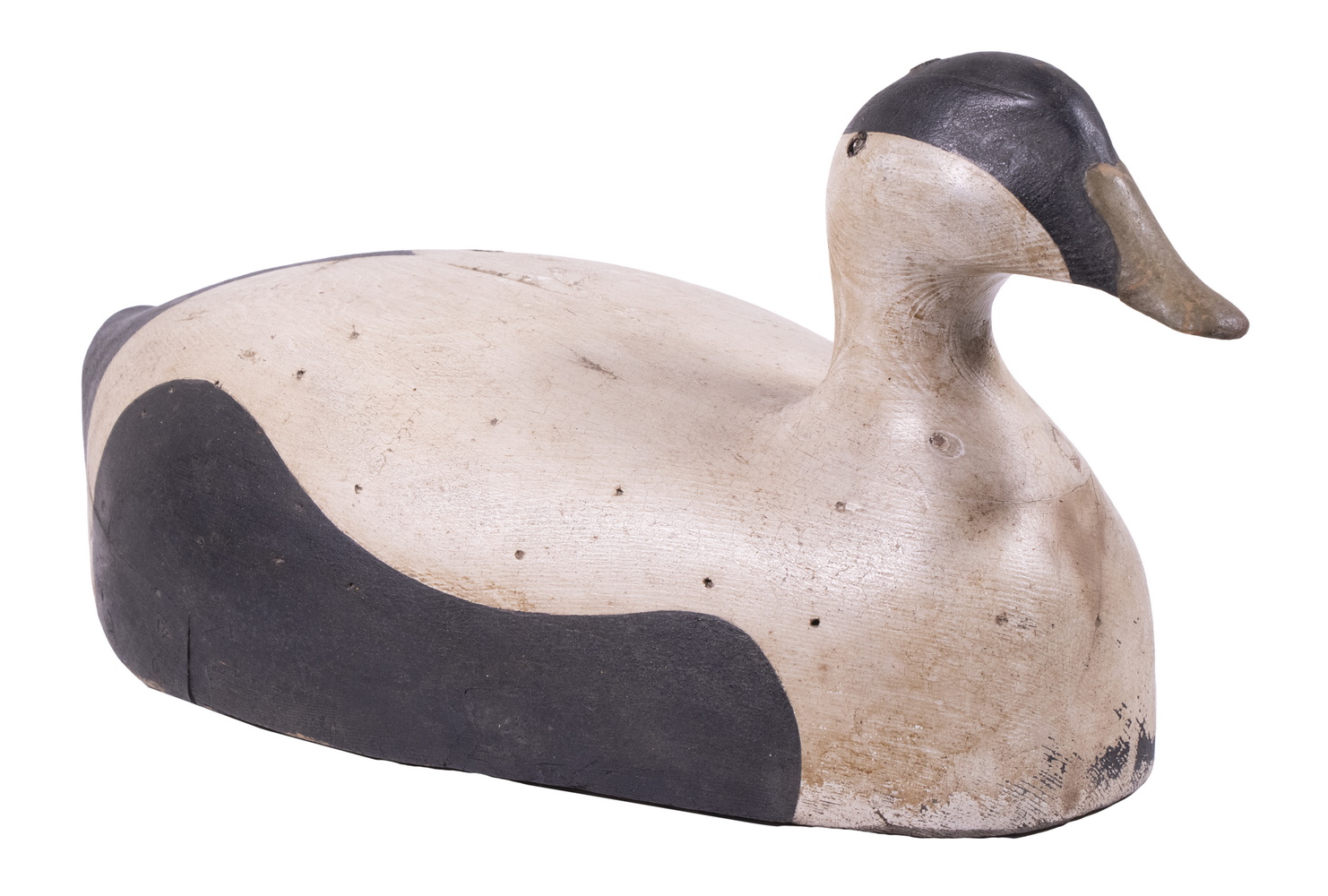 OVERSIZED MAINE EIDER DRAKE DECOY