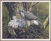 OWEN GROMME FRAMED PRINT - GOS