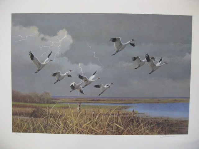 Owen J. Gromme Print