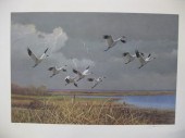 Owen J. Gromme Print ''Approac