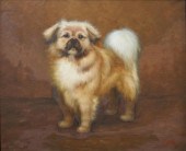 P. HAYS, PORTRAIT OF PEKINGESE