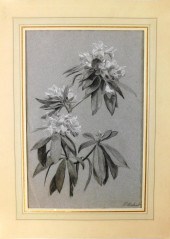 P. MATRAT (FRENCH 19TH C.), BR