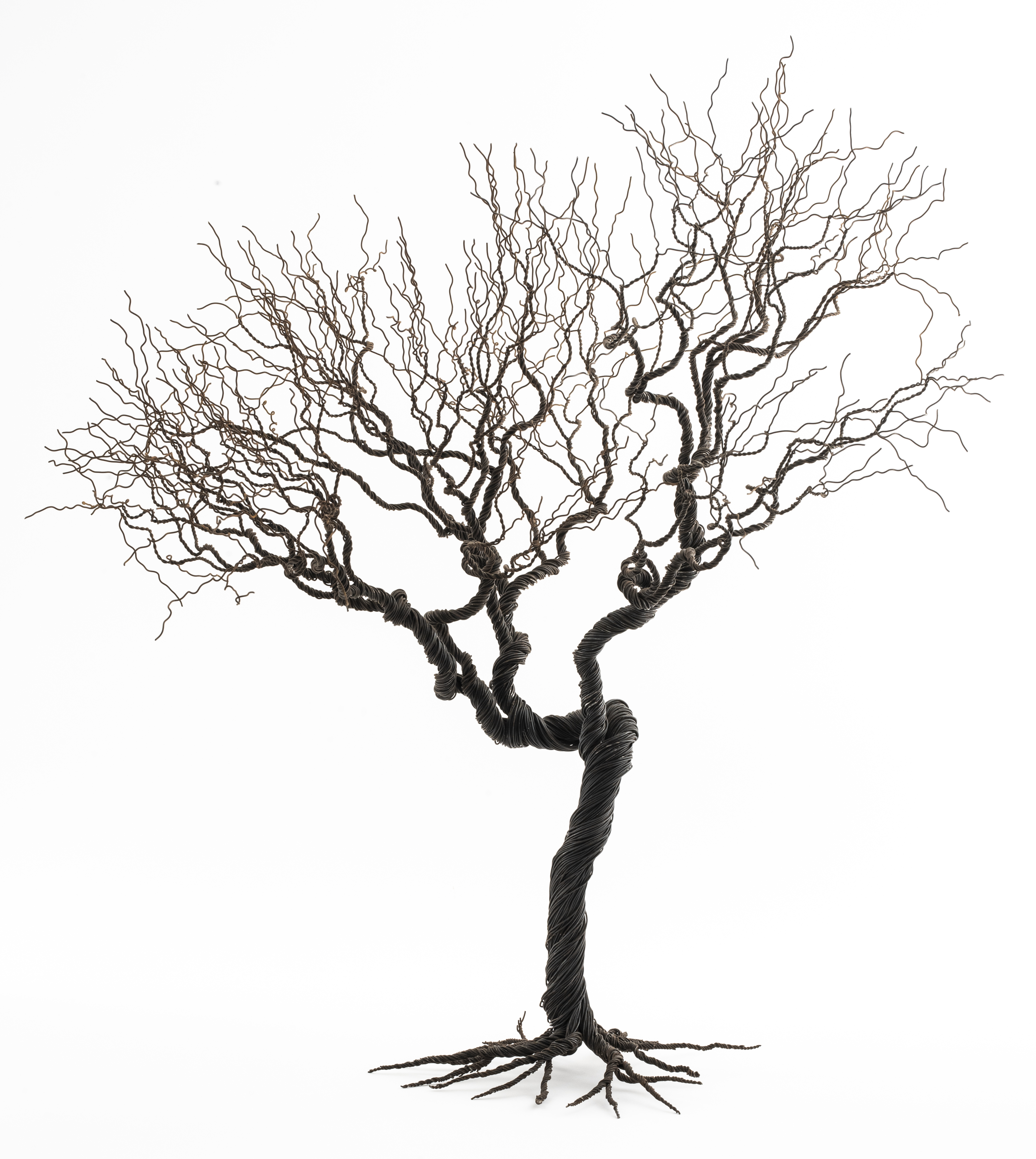 PABLO AVILLA CONTEMPORARY WIRE TREE