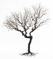 PABLO AVILLA CONTEMPORARY WIRE