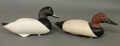 Paint decorated canvasback duc
