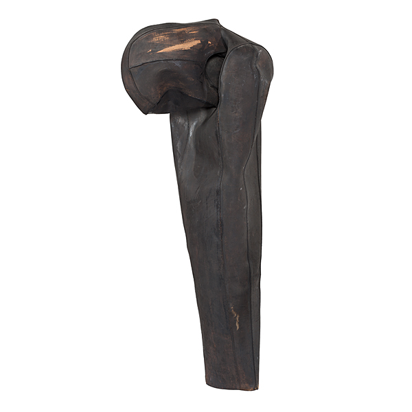 Painted Cowhide by Terry