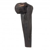 Painted Cowhide by Terry Rosen