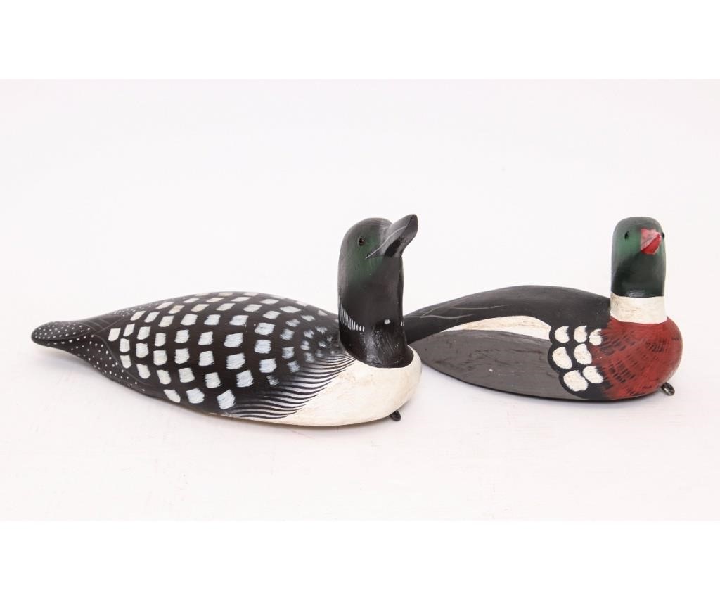 Painted loon C.W. Waterfield,