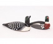 Painted loon C.W. Waterfield,