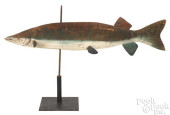 PAINTED PINE MUSKIE, EARLY/MID