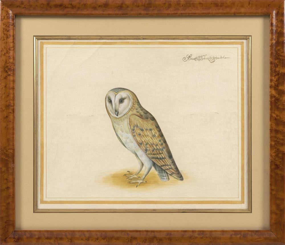 PAINTING OF AN OWL EARLY 20TH