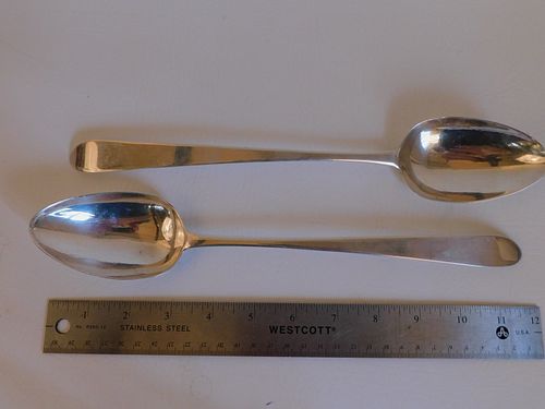 PAIR 18TH C. IRISH STUFFING