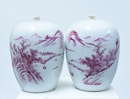 PAIR 19TH C. CHINESE AUBERGINE