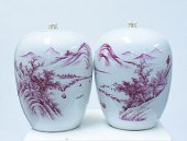 PAIR 19TH C. CHINESE AUBERGINE
