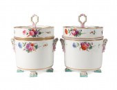 PAIR 19TH C. CONTINENTAL FLORA