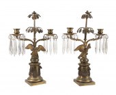 PAIR 19TH C. REGENCY STYLE BRO