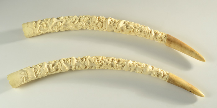 PAIR AFRICAN IVORY TUSKS hand