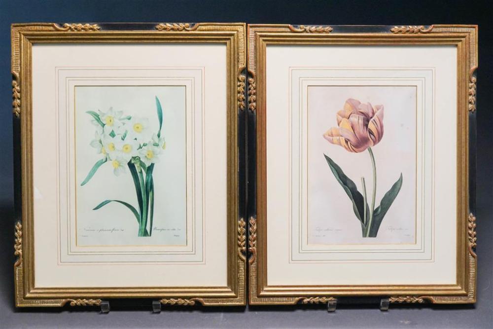 PAIR BOTANICAL CHROMOLITHOGRAPHS,