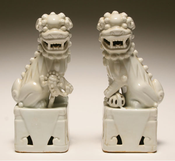 Pair Chinese blanc de chine foo