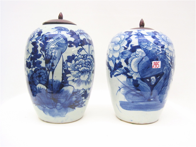 PAIR CHINESE BLUE AND WHITE