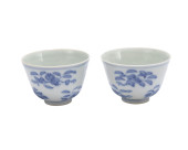 PAIR CHINESE BLUE AND WHITE SP