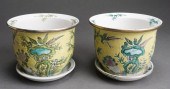 PAIR CHINESE FAMILLE JAUNE POR