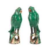 PAIR CHINESE GREEN PARROT TERR