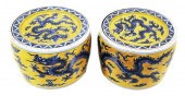 PAIR CHINESE PORCELAIN DRAGON