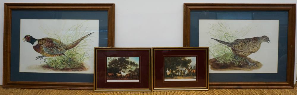 PAIR COLOR PRINTS OF FOWL AND