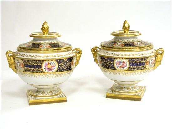 Pair covered porcelain urns 