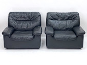 PAIR DESEDE DS-66 LEATHER LOUN