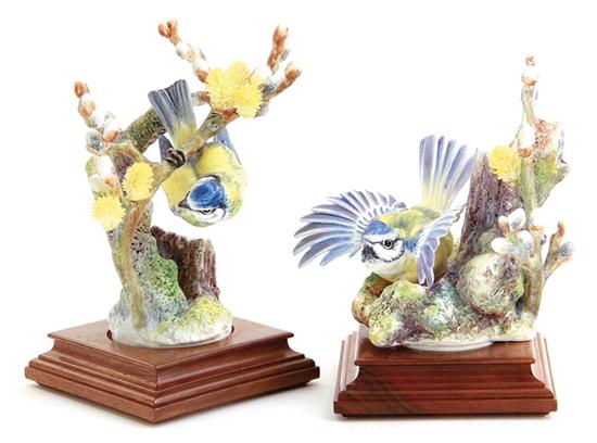 Pair Dorothy Doughty Blue Tit Parus