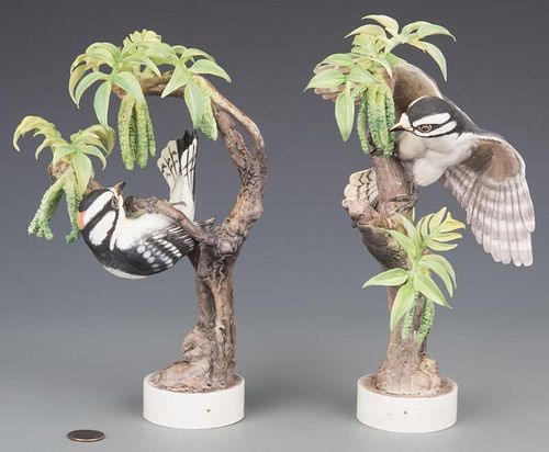 PAIR DOROTHY DOUGHTY DOWNY
