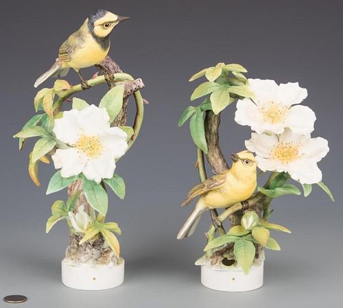 PAIR DOROTHY DOUGHTY HOODED